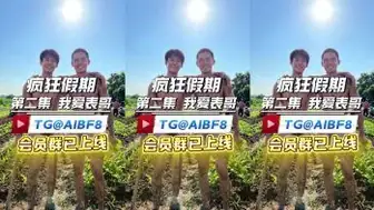 [CN] 疯狂假期 第2集 《我爱表哥》